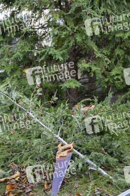 Symbolfoto Gartenarbeit