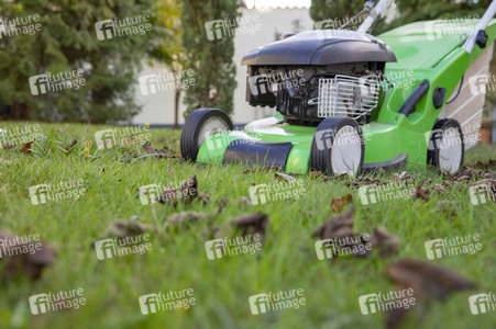Symbolfoto Gartenarbeit