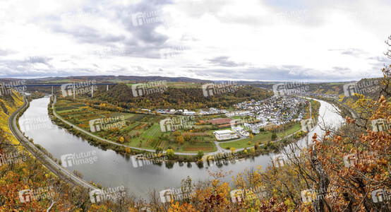 Herbst an den Mosel-Weinbergen in Winningen