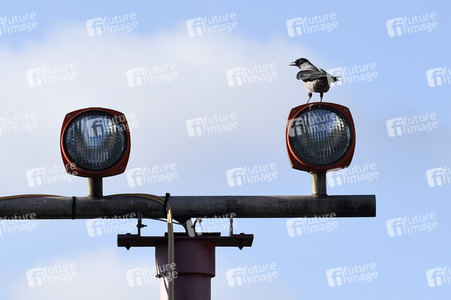 Symbolfoto Landeanflug