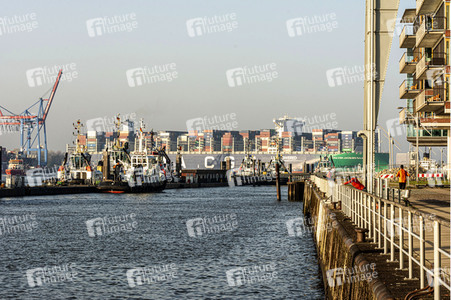 Das Containerschiff CMA CGM Jacques Saade in Hamburg