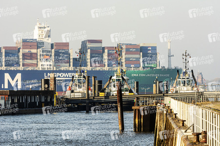 Das Containerschiff CMA CGM Jacques Saade in Hamburg