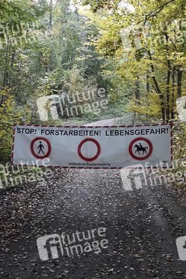 Symbolfoto Forstarbeiten