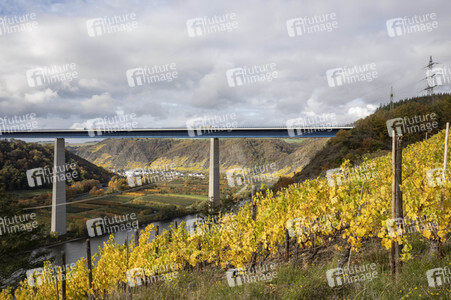 Moseltalbrücke in Dieblich