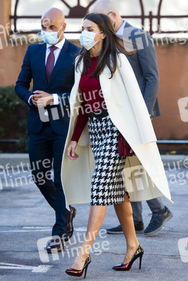 Königin Letizia von Spanien beim Royal Board on Disability in Madrid
