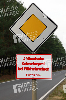 Symbolfoto Schweinepest