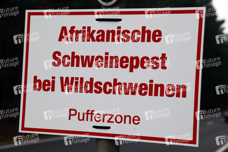 Symbolfoto Schweinepest