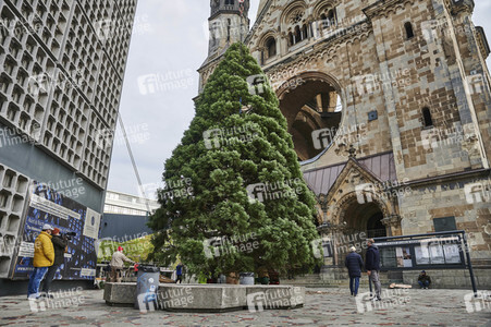 Aufstellen des Weihnachtsbaumes an der Gedächtniskirche in Berlin
