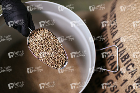 Symbolfoto Weißer Pfeffer