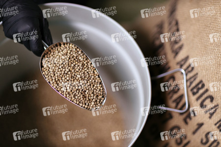 Symbolfoto Weißer Pfeffer