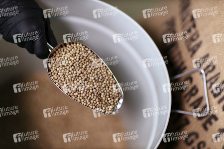 Symbolfoto Weißer Pfeffer