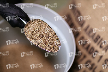 Symbolfoto Weißer Pfeffer