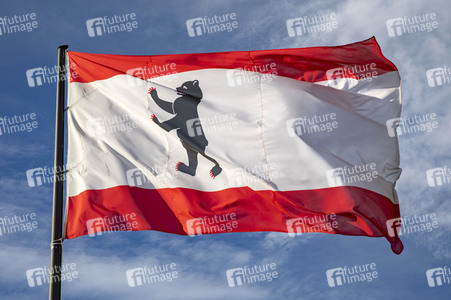 Symbolfoto Bundeslandflagge