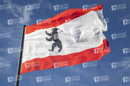 Symbolfoto Bundeslandflagge