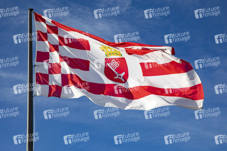 Symbolfoto Bundeslandflagge