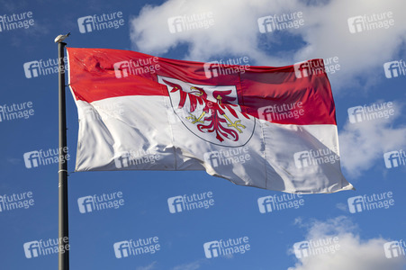 Symbolfoto Bundeslandflagge