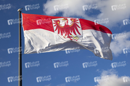 Symbolfoto Bundeslandflagge