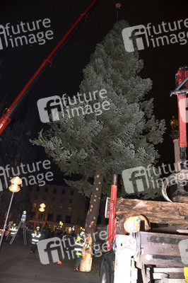 Christbaum-Aufstellung in München
