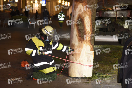 Christbaum-Aufstellung in München