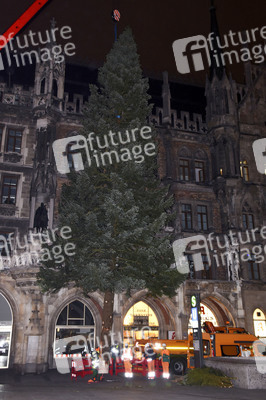 Christbaum-Aufstellung in München