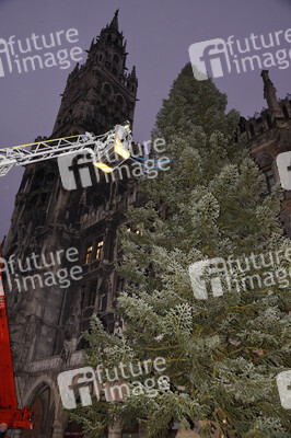 Christbaum-Aufstellung in München