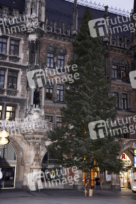 Christbaum-Aufstellung in München