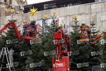 Weihnachtsbäume in Köln
