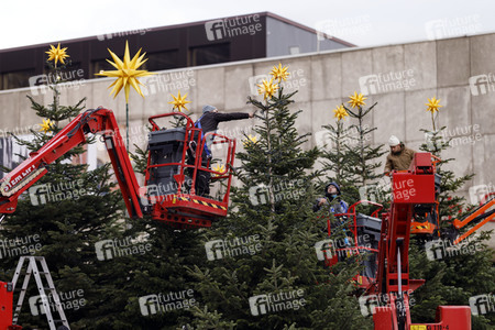 Weihnachtsbäume in Köln