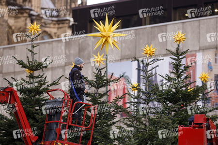 Weihnachtsbäume in Köln
