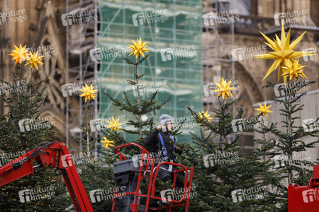 Weihnachtsbäume in Köln