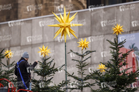 Weihnachtsbäume in Köln