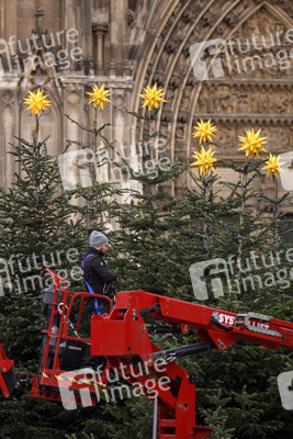 Weihnachtsbäume in Köln