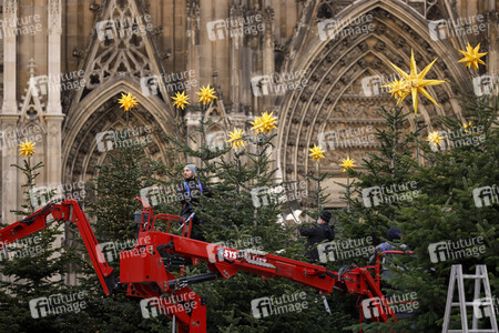 Weihnachtsbäume in Köln