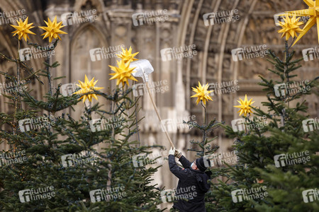 Weihnachtsbäume in Köln