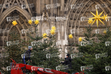 Weihnachtsbäume in Köln