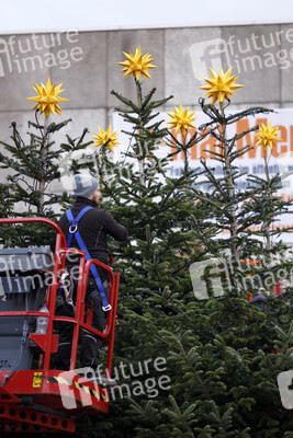 Weihnachtsbäume in Köln