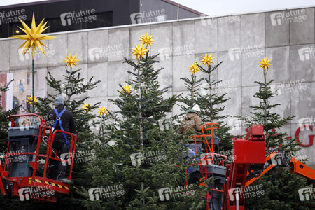 Weihnachtsbäume in Köln