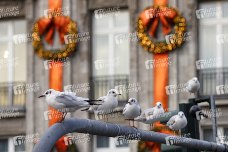Symbolfoto Weihnachtsdekoration