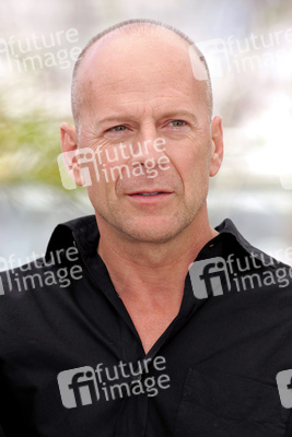 Photocall 'Ab durch die Hecke', Cannes Film Festival 2006