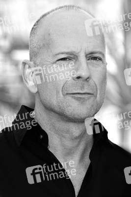 Photocall 'Ab durch die Hecke', Cannes Film Festival 2006