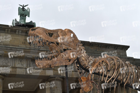 Mahnwache vom Aktionsbündnis 'Alarmstufe Dunkelrot' in Berlin