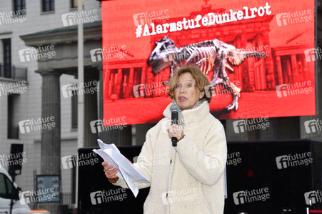 Mahnwache vom Aktionsbündnis 'Alarmstufe Dunkelrot' in Berlin