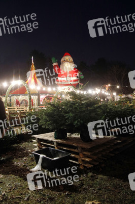 Symbolfoto Weihnachtsbaumverkauf