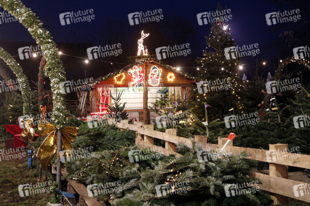 Symbolfoto Weihnachtsbaumverkauf