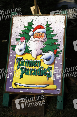 Symbolfoto Weihnachtsbaumverkauf