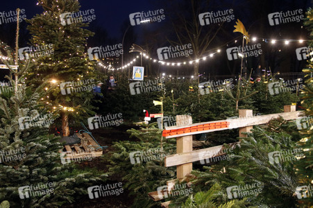 Symbolfoto Weihnachtsbaumverkauf