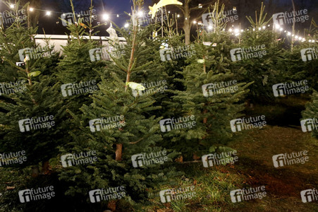 Symbolfoto Weihnachtsbaumverkauf