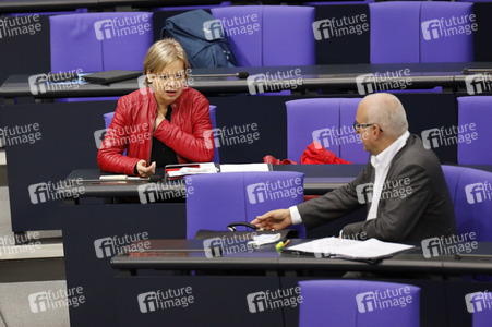 201. Sitzung des Deutschen Bundestages in Berlin