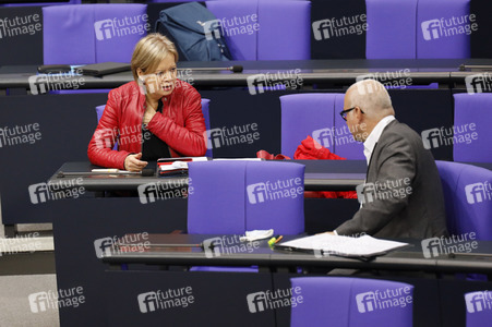 201. Sitzung des Deutschen Bundestages in Berlin