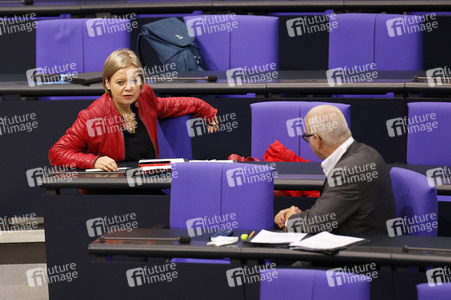 201. Sitzung des Deutschen Bundestages in Berlin
